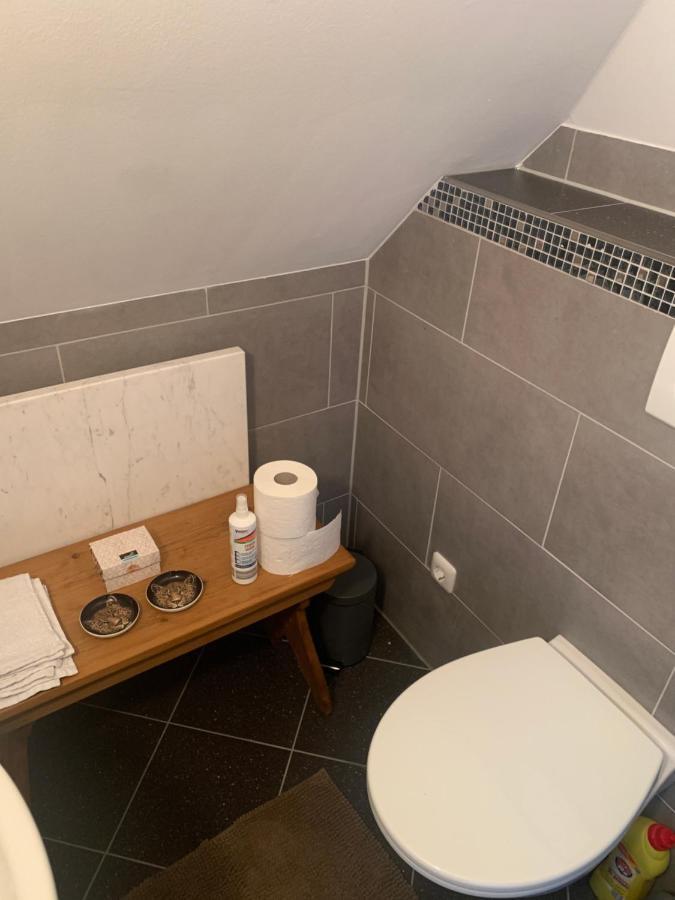 Bezaubernde Ferienwohnung Mit Rosengarten Waldershof Exteriér fotografie